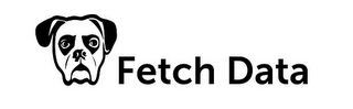 FETCH DATA logo