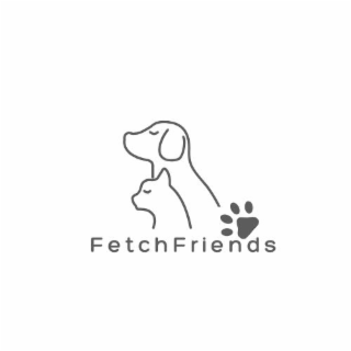 FETCHFRIENDS logo