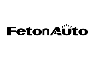 FETONAUTO logo