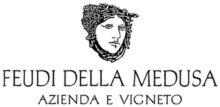 FEUDI DELLA MEDUSA AZIENDA E VIGNETO logo