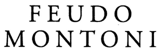 FEUDO MONTONI logo