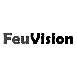 FEUVISION logo