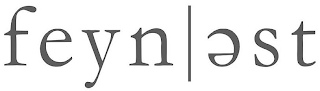 FEYN | EST logo