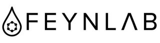 FEYNLAB