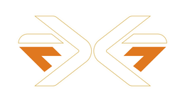 FF X logo