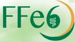 FFE6 logo