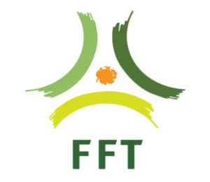 FFT logo