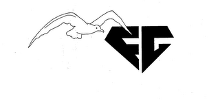 FG logo