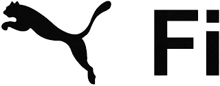 FI logo