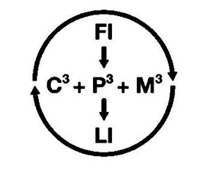 FI C3 P3 M3 LI logo