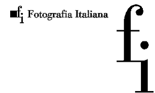 FI FOTOGRAFIA ITALIANA FI logo