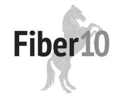 FIBER 10 logo