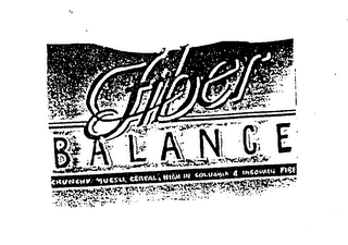 FIBER BALANCE logo