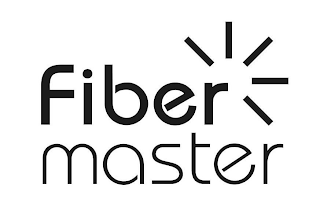 FIBER MASTER logo