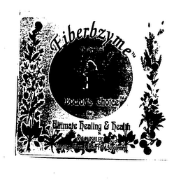 FIBERBZYME THE ORIGINAL DOCTOR'S CHOICE FOR ULTIMATE HEALING & HEALTH 120 CAPSULES ENZYMES FIBERS & HERB FOOD SUPPLEMENT logo