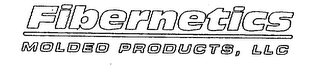 FIBERNETICS MOLDED PRODUCTS, LLC logo