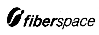 FIBERSPACE logo