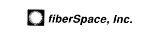 FIBERSPACE, INC logo
