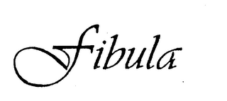FIBULA logo
