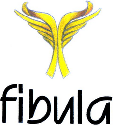 FIBULA logo