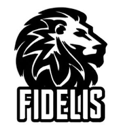 FIDELIS logo