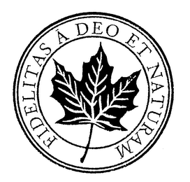 FIDELITAS A DEO ET NATURAM logo