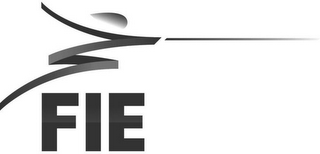 FIE logo