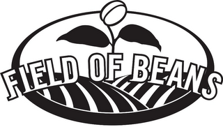 FIELD OF BEANS logo