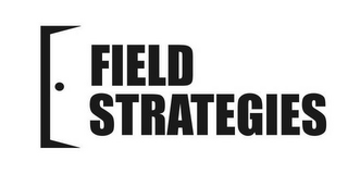 FIELD STRATEGIES logo