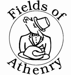 FIELDS OF ATHENRY logo
