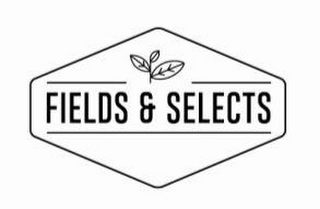 FIELDS & SELECTS logo