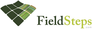 FIELDSTEPS.COM logo