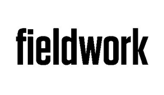 FIELDWORK logo