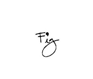 FIG logo