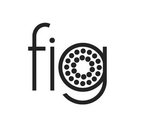 FIG logo