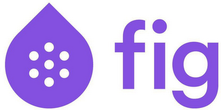 FIG logo