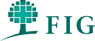 FIG logo