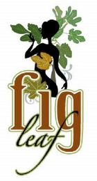 FIG LEAF logo