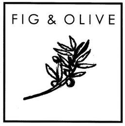 FIG & OLIVE logo