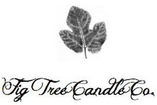 FIG TREE CANDLE CO. logo