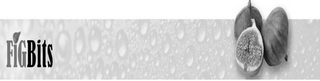 FIGBITS logo