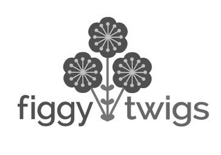 FIGGY TWIGS logo