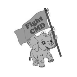 FIGHT CMD logo