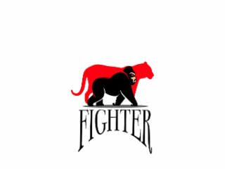 FIGHTER logo
