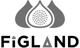 FIGLAND logo