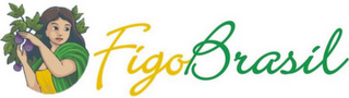 FIGO BRASIL logo