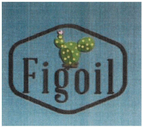 FIGOIL logo