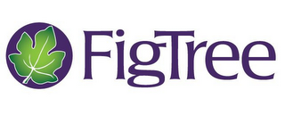 FIGTREE logo