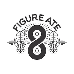 FIGURE ATE 8 logo
