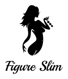 FIGURE SLIM logo